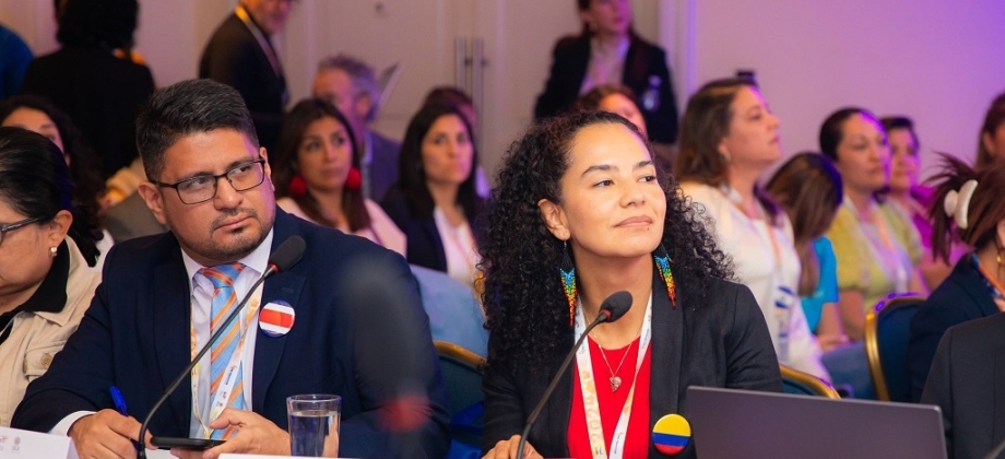  Colombia participó en foros de niñez y adolescentes a nivel hemisférico