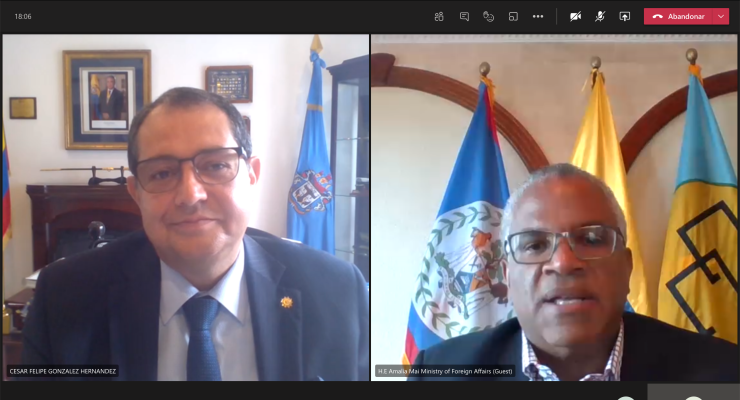 Audiencia virtual entre el Embajador de Colombia en El Salvador concurrente para Belice y el Ministro de Asuntos Exteriores